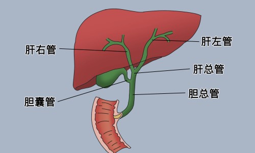 胰岛素促泌剂会不会损伤胰岛功能-胰岛素促泌剂的药理作用-胰岛素促泌剂的主要不良反应,中国胰岛素促泌剂副作用网站